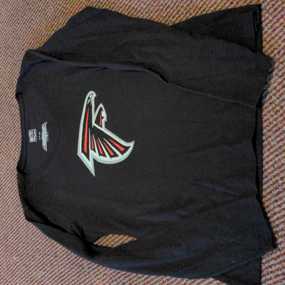 3 for $15 Atlanta Falcons long sleeve